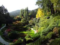 Butsharts Garten, eine Augenweide