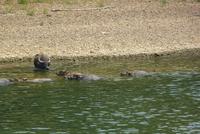 Schifffahrt auf dem Li Fluss (17)