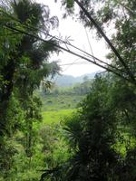 Ausblick in die Berge 2