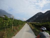 1. Tag Riva del Garda - In den Weinbergen (2)