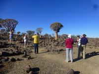 ... fleissige Fotografen