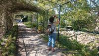 Botanischer Garten Soller