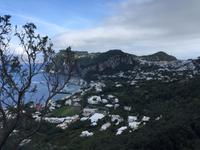 Blick auf Capri