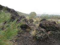 Ätna- auf dem Weg zum Rifugio Sapienza