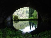 Spiegelung in Alfabia