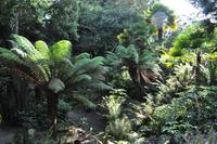 Rame Halbinsel - Mount Edgcumbe