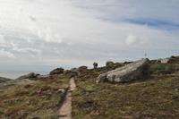 Wanderung Porthcurno - Land's End