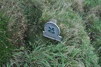Wnderung von den Bedruthan Steps nach Porthcothan