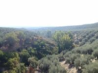 Via Verde de la Subbética (7)