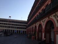 Cordoba (56)
