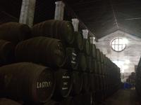 Bodegas La Gitana (12)