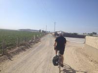 Doñana Naturpark (43)