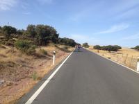 Serrania de Ronda (9)