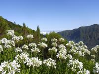 Hochebene Paul da Serra