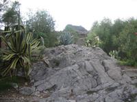 im Park des griechischen Theaters von Taormina 