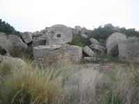 riesige Segmente ... 