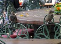 Disney Resort Paris-Herbstgäste