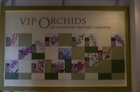 Stadrundfahrt in Singapur