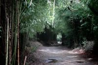 Lagoa das Furnas