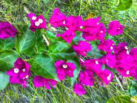 Foto 12.10.16, 17 34 11