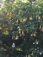 Foto 13.10.16, 12 50 36