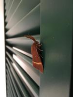 Foto 14.10.16, 18 11 24