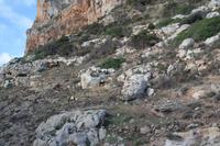 2.Tag Wanderung von Son Bou nach Es Canutells