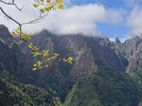 Blick von Balcoes auf den Pico Ruivo , den höchsten Berg Madeiras