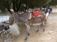 Kreta, Lassithi-Hochebene, Weg zur Zeus-Höhle