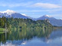 Bled