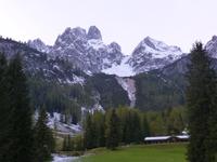 Hofalmen - Bischofsmütze