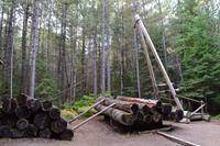 Algonquin Logging Museum Trail