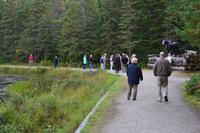 Algonquin Logging Museum Trail