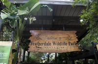Blue Mountains und Featherdale Wildlife Park