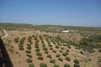 Salken und Sylke Hey