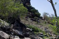 Kakadu-Nationalpark & Arnhemland-Safari