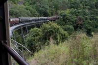 Regenwald-Seilbahn und Aboriginies