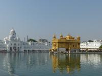 286. Amritsar - Goldener Tempel