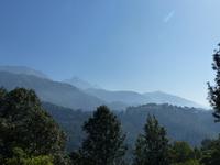 422. Himalaya