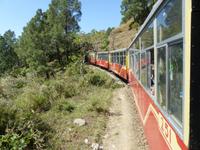 489. Schmalspurbahn Shimla