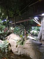 Aquarium Dubai Mall