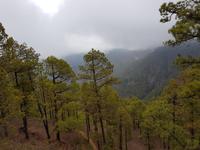 Inselhüpfen auf den Kanaren - 12 Tage Rundreise auf den Kanarische Inseln Teneriffa – La Gomera – La Palma – Gran Canaria (1085)