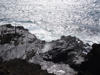 Oahu - Halona Blowhole 