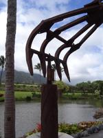 Maui - Tropical Plantation 