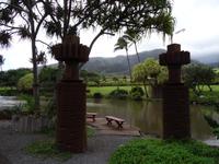 Maui - Tropical Plantation 