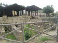 IMG_6900  Villa Romana