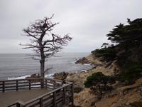 Mile Drive