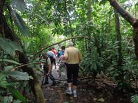 Carara Nationalpark