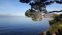 Genfer See (Promenade in Montreux)