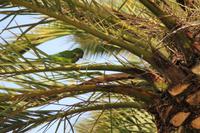 Barcelona Stadtrundfahrt - Park Güell